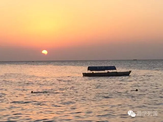 一生必去一次的非洲坦桑尼亚｜回归狂野