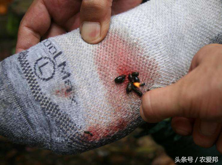 农村的孩子受到太多伤害,在农村的孩子有什么危险