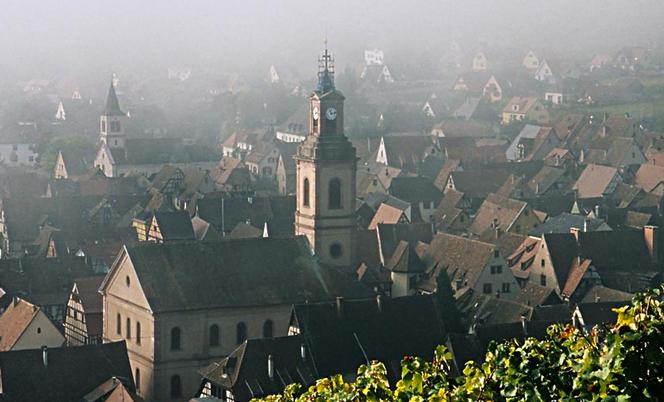 皎洁的月光下的影子,皎洁的月光影子