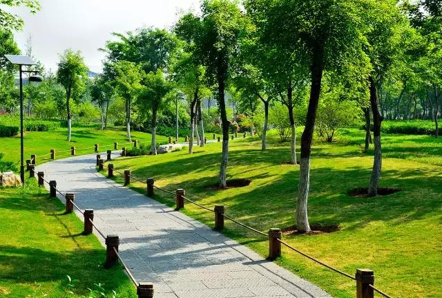 济南春游的好地方推荐,济南适合春游的地方