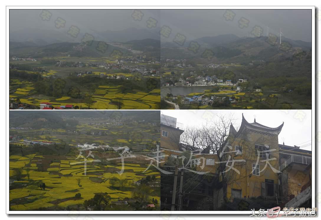 普陀寺的历史的介绍,普陀寺传说真实故事