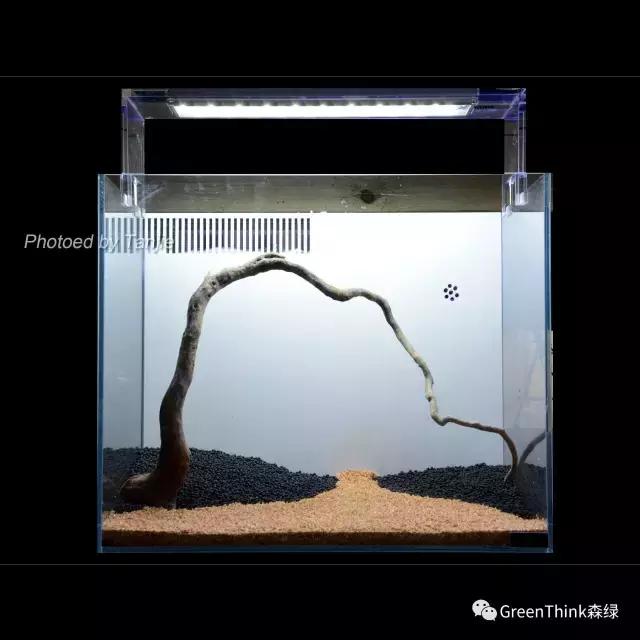 水草缸造景大师视频大全,水草造景大师