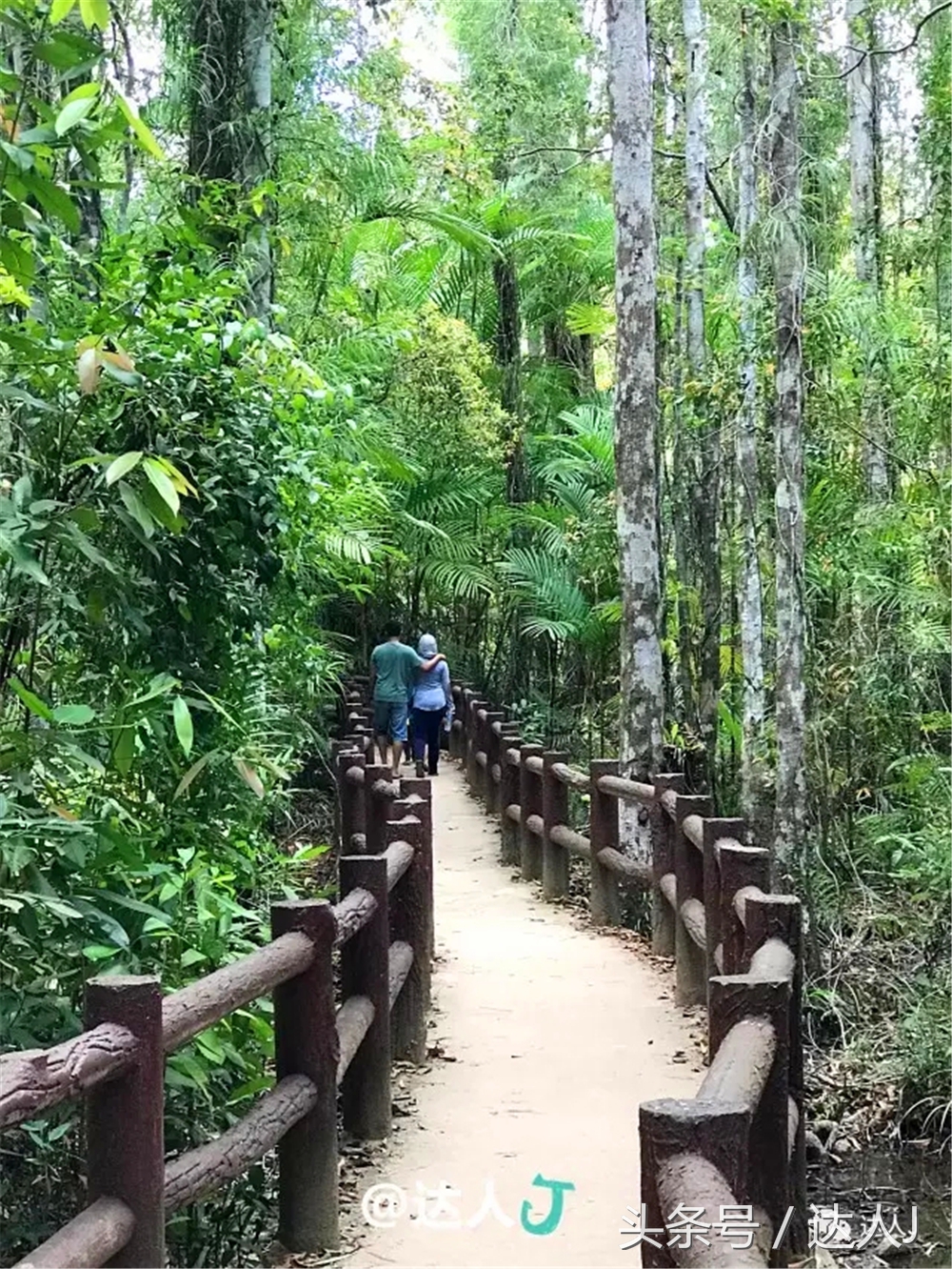 显然不适合玩婚内出轨!全泰国最大的泳池原来在这里