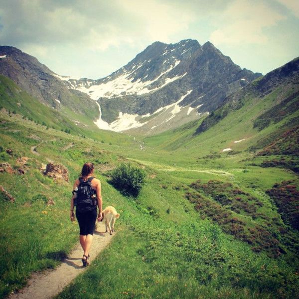 房车太贵？这个姑娘改造小货车带着狗狗周游世界！简直太酷啦~