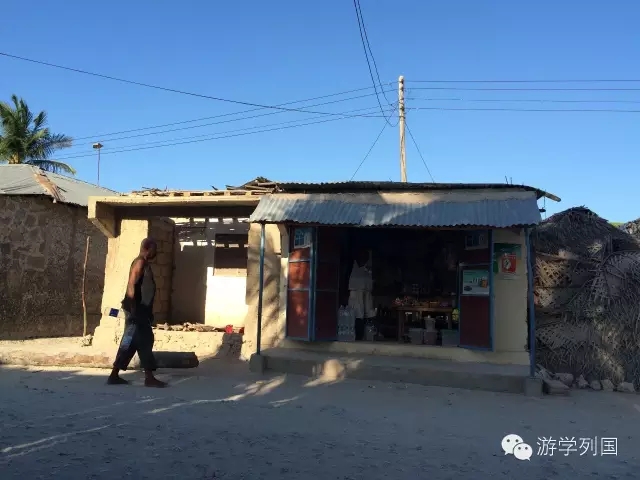 一生必去一次的非洲坦桑尼亚｜回归狂野