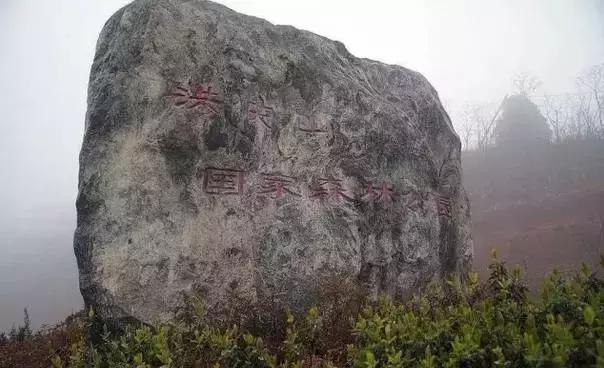 不亚樱桃沟、赛过杏花谷的洪庆墨玉河竟然没多少人知道！