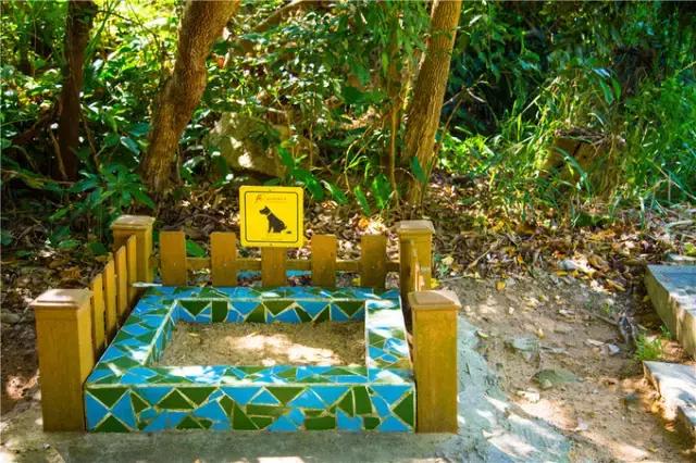 香港tvb的发展历程,香港tvb怀旧之旅