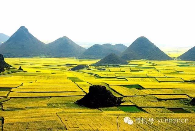 大理人去哪个省玩,大理人游西双版纳