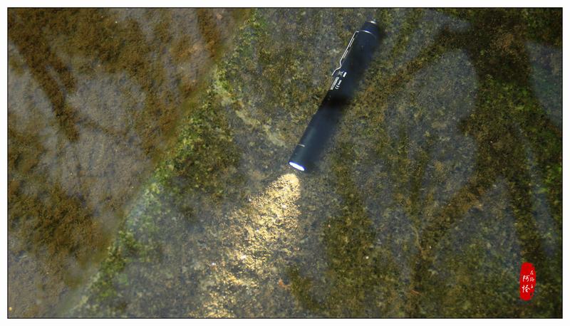 不止于斯-奈特科尔MT06MDEDC手电