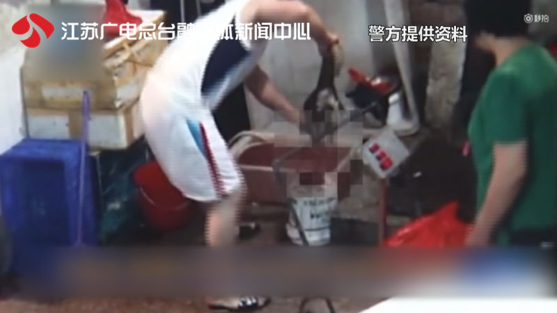 特大贩卖动物案,贩卖动物大案