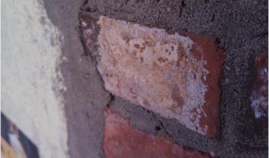 昨天，发现刚砌好的书架变色了，丑死了！师傅竟说用醋浇一下就好