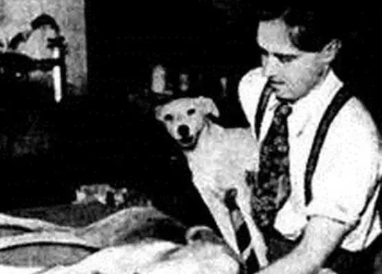 人类历史上匪夷所思的人体实验,历史上真实的人体实验