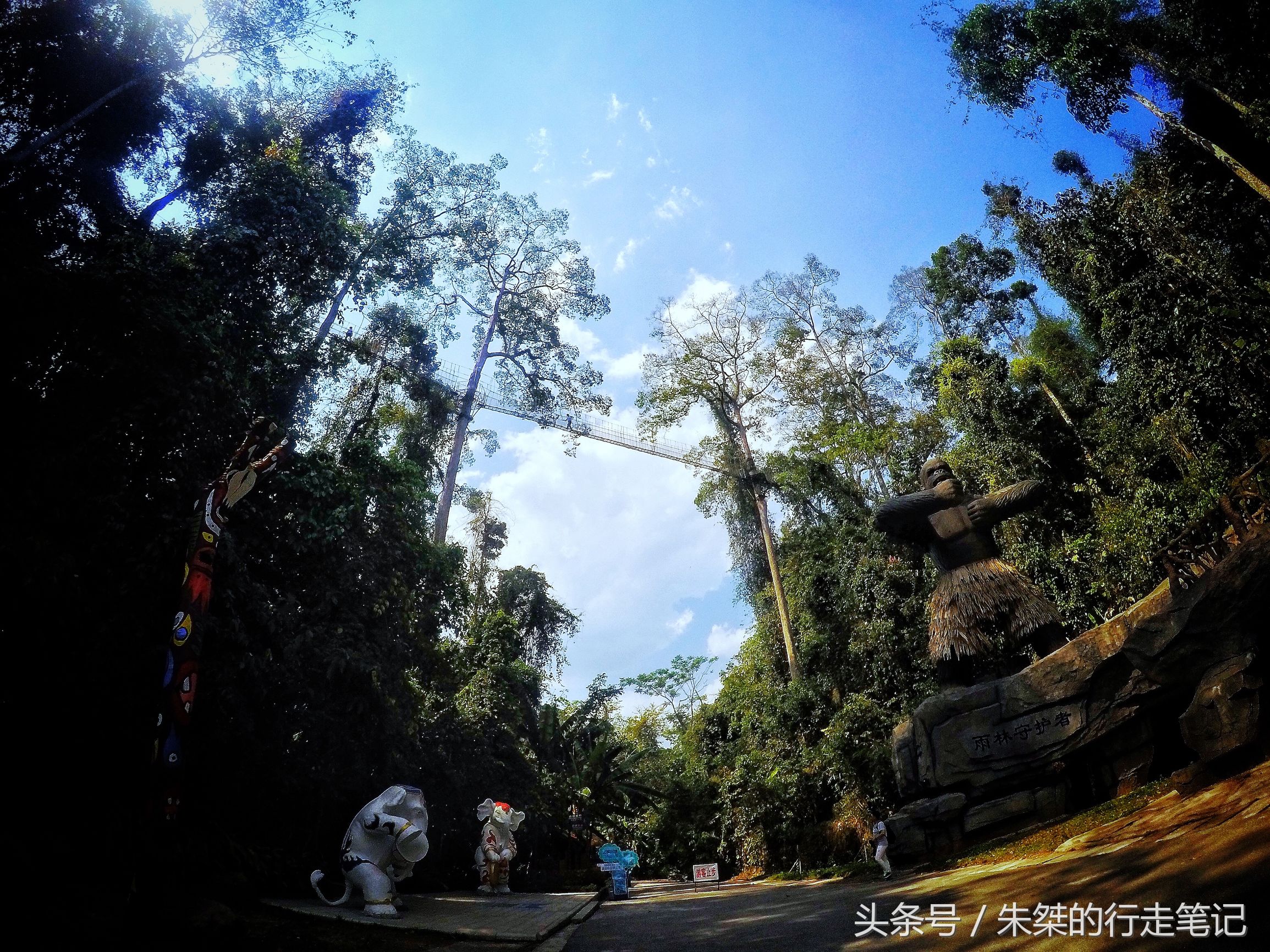 版纳颈椎治疗,西双版纳治疗颈椎好的按摩仪器