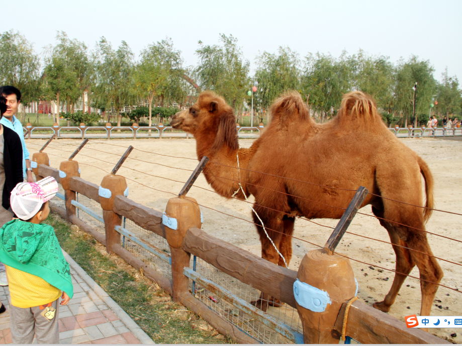 天津光合谷温泉酒店,天津光合谷公园地址