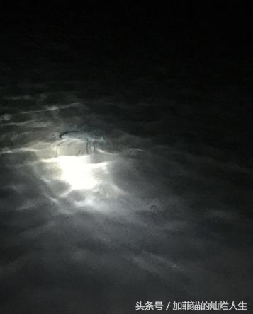 马来西亚亚庇到美人鱼岛,亚庇美人鱼岛游记