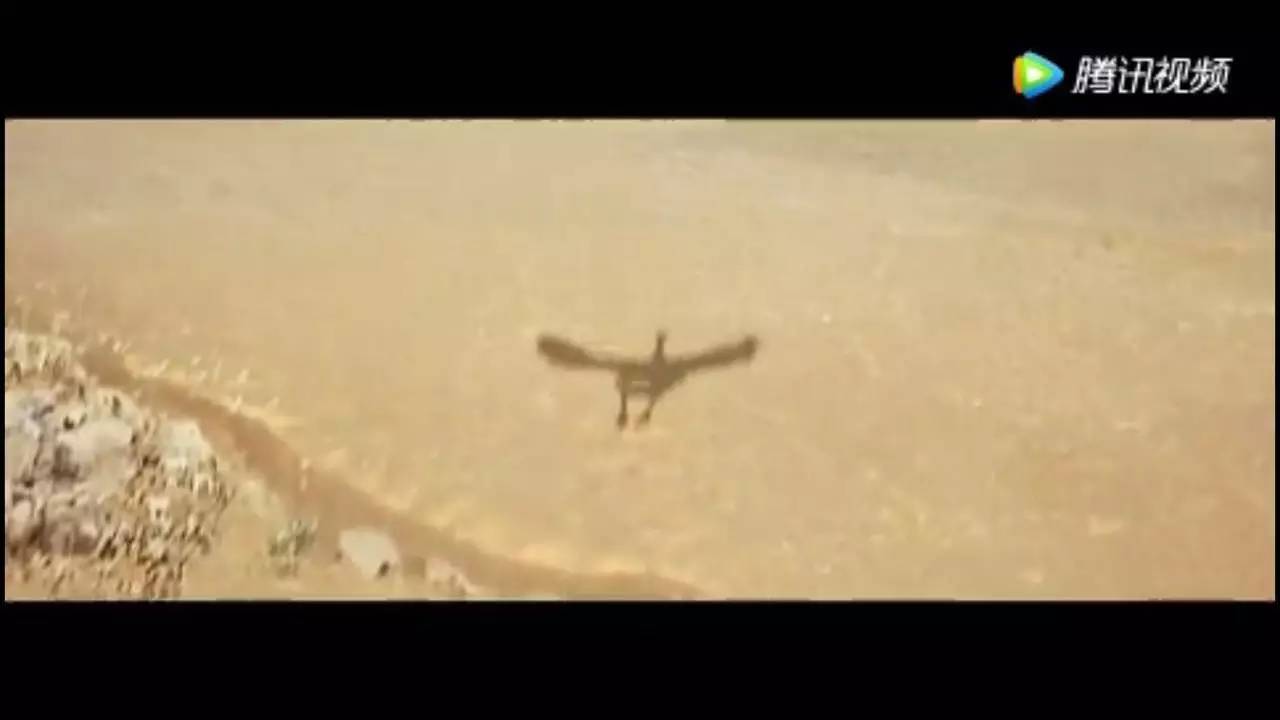 2019年三星s8还能再战多久,三星s8高光时刻