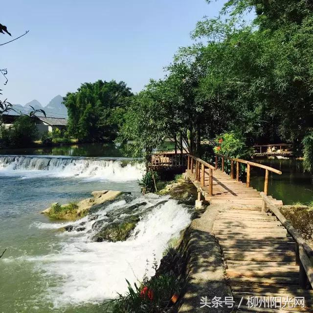 柳江区哪个镇最好,柳江区有好的发展吗