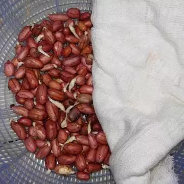 比牛奶鸡蛋还好的它稳血糖护心脏,牛奶对心脏和血管有利还是有害