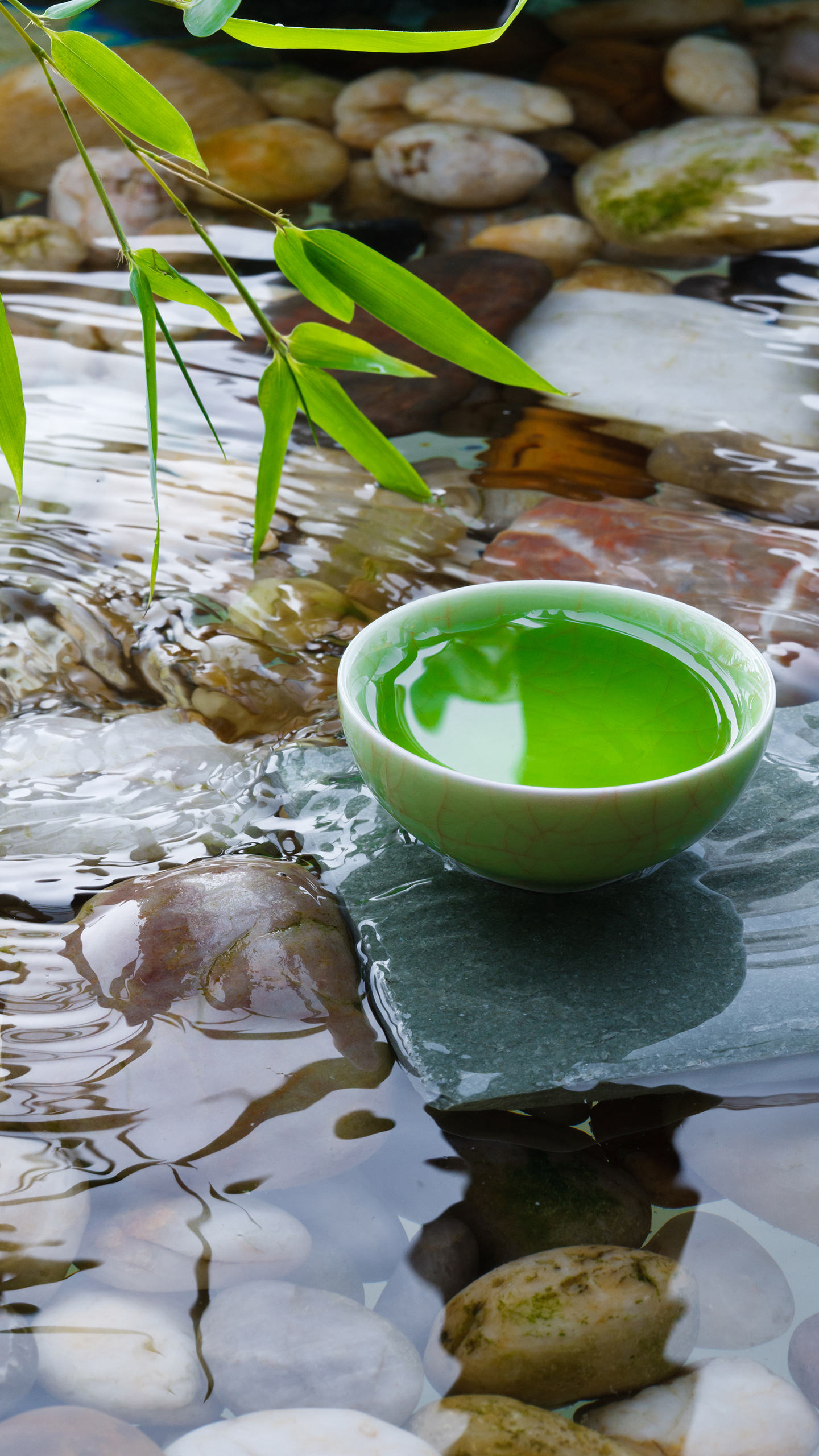 麦吉减肥法第一阶段完整食谱,麦吉减肥法第二阶段时间