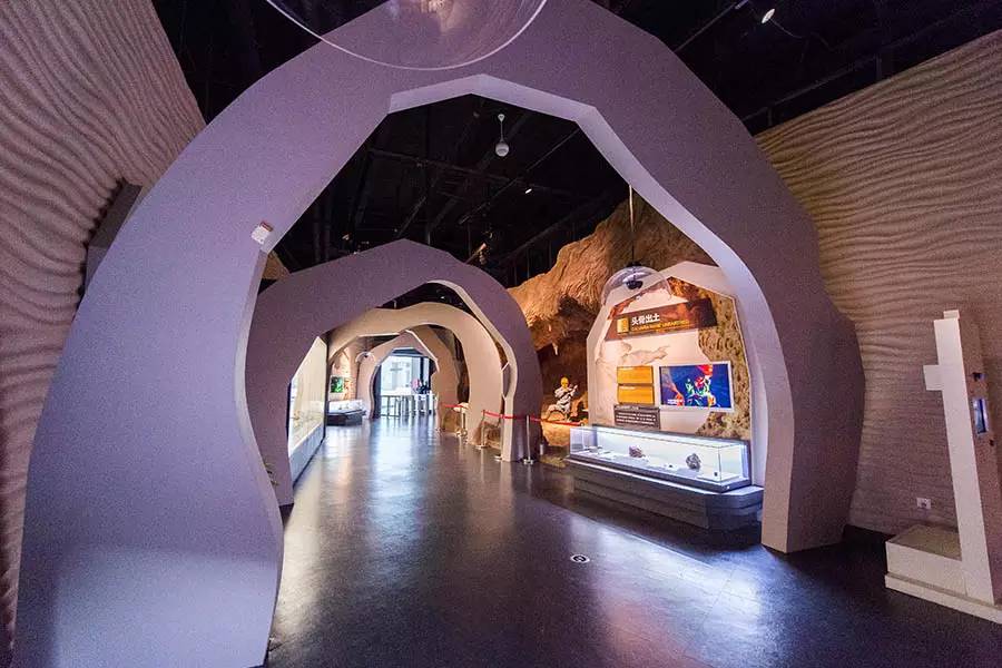 探寻人类的起源之谜,探寻人类祖先的奥秘