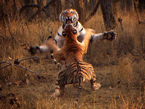 期货实战训练手册,个人素养表现