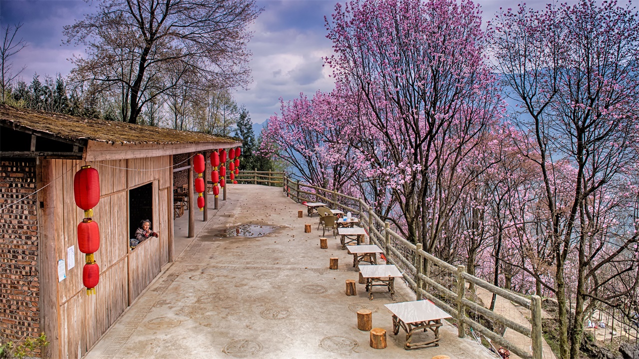 30分钟刷一次朋友圈,你多久刷一次朋友圈