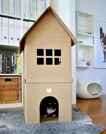 废纸箱做儿童玩具,废纸箱做可爱的宝宝