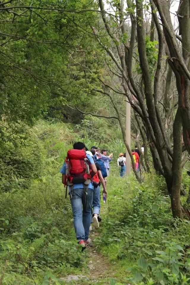 驴游记照片,驴游记全部视频