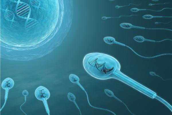 遗传性高血压能做基因检测吗,大连哪里能做高血压基因检测