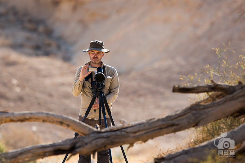 以色列,闯入“禁区”的观鸟人