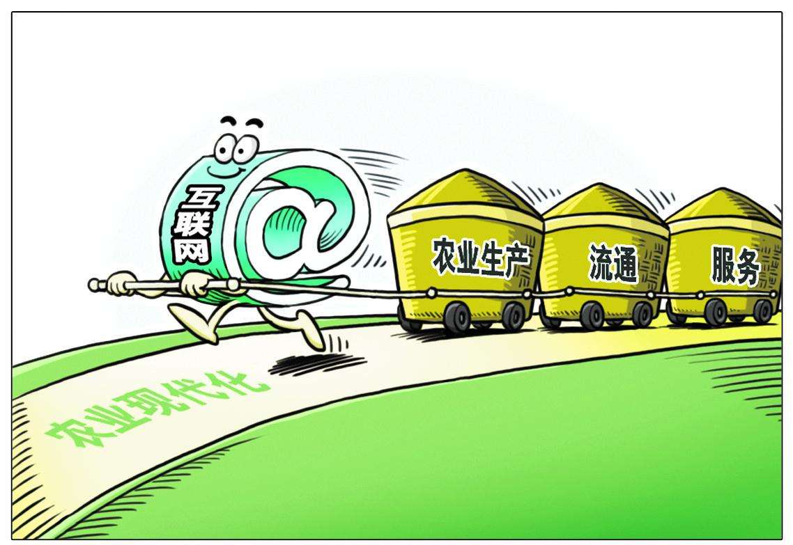 农村电商苦恼事,农村电商