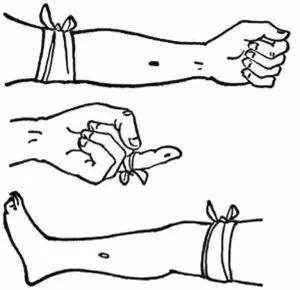 毒蛇来了该怎么保护自己,春天来了蛇怎么样了