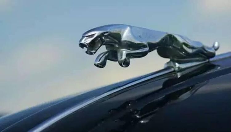 你以为自己很懂车么,豪车标志都有哪些