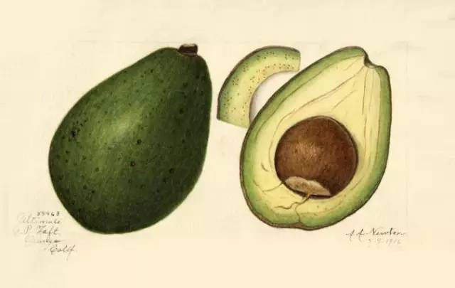 5折福利|专治重度美颜相机依赖症的英国古方药妆