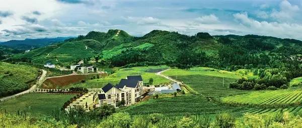 贵州省第十次党代会报告,当代贵州第17期