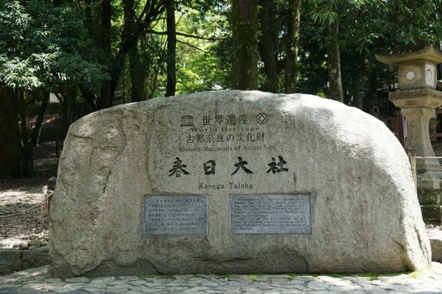 念念不忘必有回响日语,念念不忘必有回响再次相见