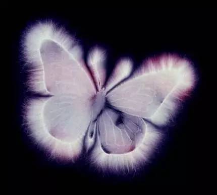 神秘光波的另类治疗法｜克里安摄影术