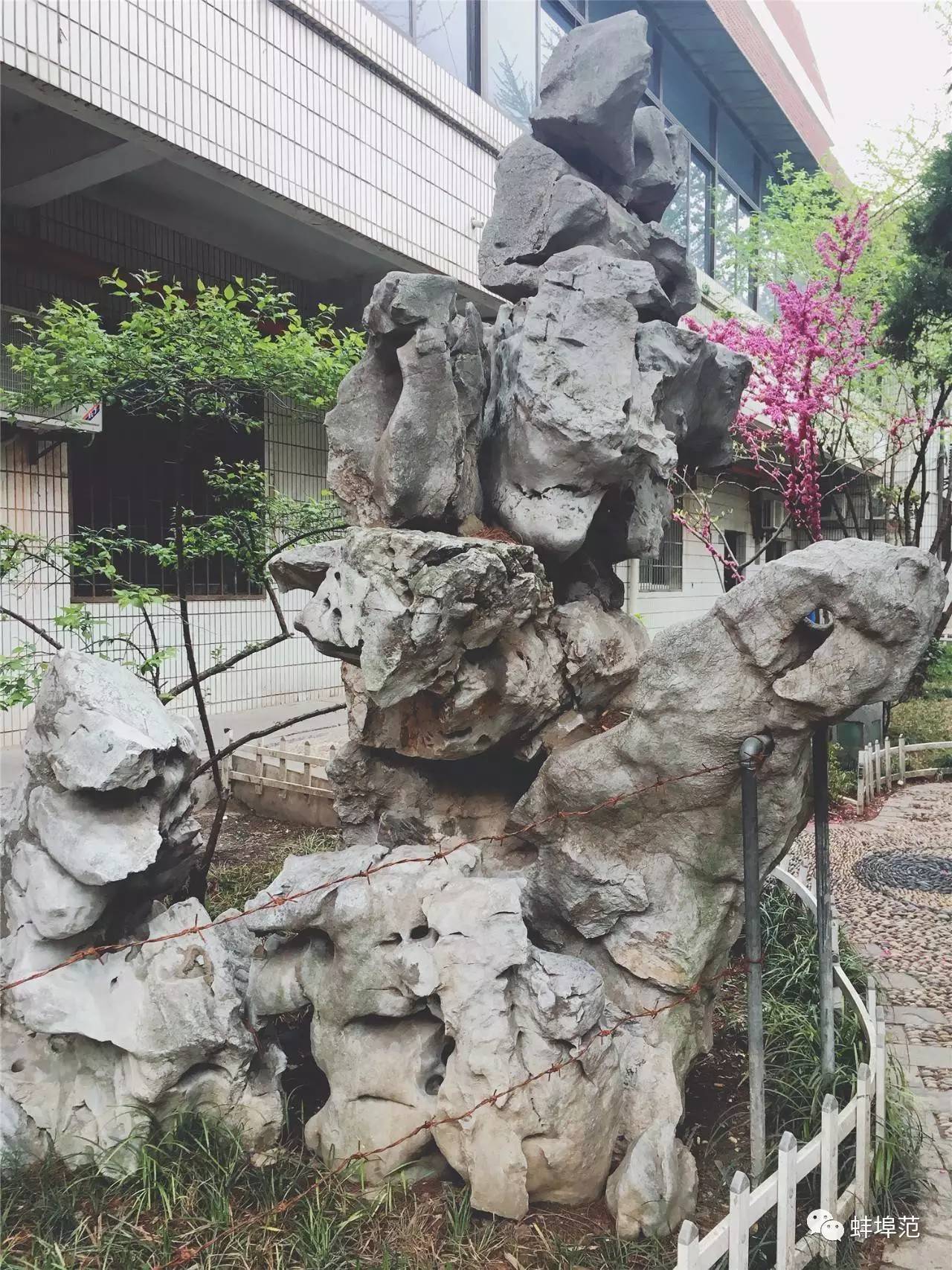 皖北最好的医院,蚌埠淮委医院厉害吗