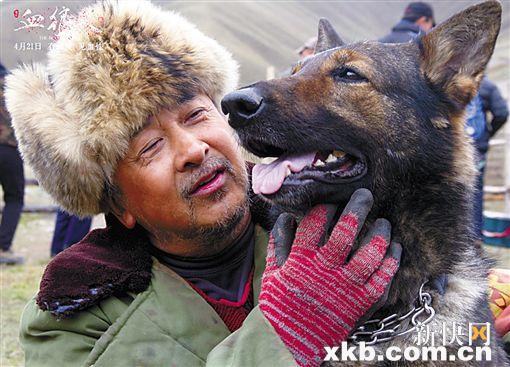 血狼犬高清图片,血狼犬看哭人的视频