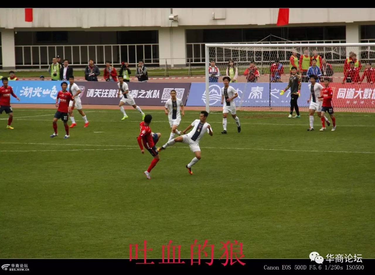 大秦之水队赛程,大秦之水比赛