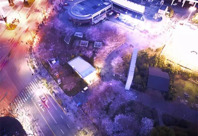 「拾趣」古典风、童话风……上海16座最美地铁站，你最常经过哪一站？