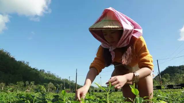 宜兰一日游最佳攻略,宜兰自由行热门攻略