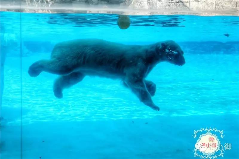 春节旅游新加坡,还能不能春节旅游去新加坡