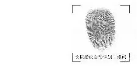 观复猫博物馆的猫咪,观复猫博物馆在什么地方