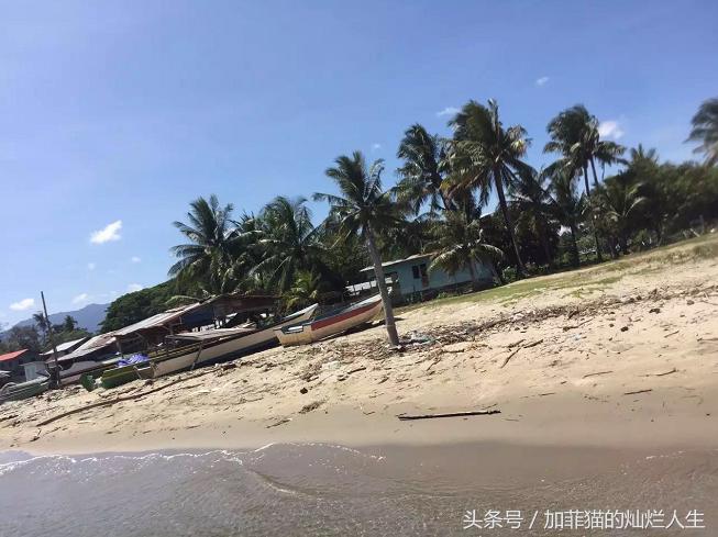 马来西亚亚庇到美人鱼岛,亚庇美人鱼岛游记