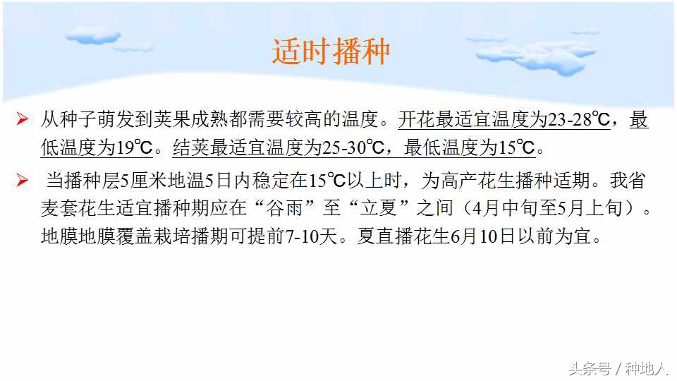 马上开始播种花生,快要种花生了