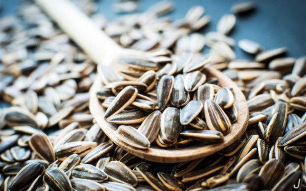 什么食物具有安胎作用,孕期吃哪些食物既营养又安胎