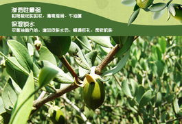 自制好用的手工玩具,自制好用的面膜