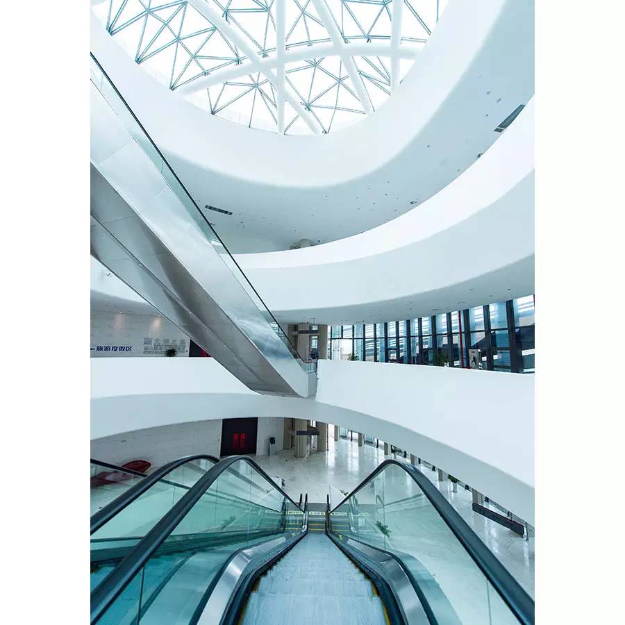 探寻人类的起源之谜,探寻人类祖先的奥秘