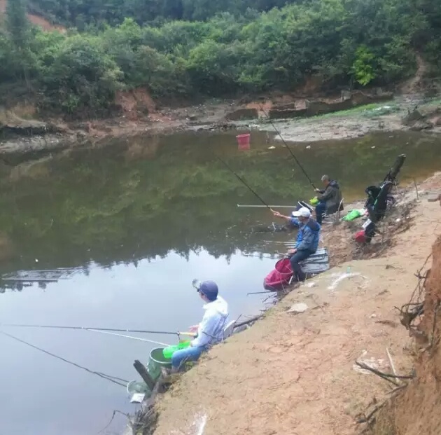 「二十八」小药篇：氨基酸丰富饵料营养，增加适口性